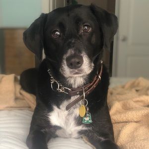 Meet your Posher, Anna